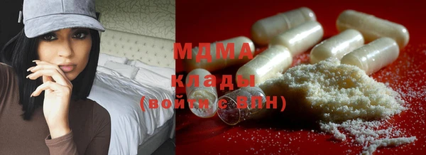 прущие грибы Надым