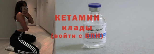 прущие грибы Надым