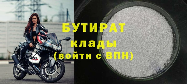 прущие грибы Надым