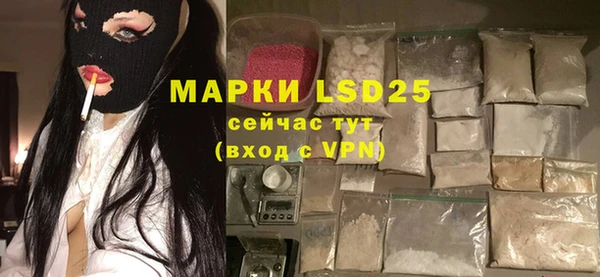 прущие грибы Надым