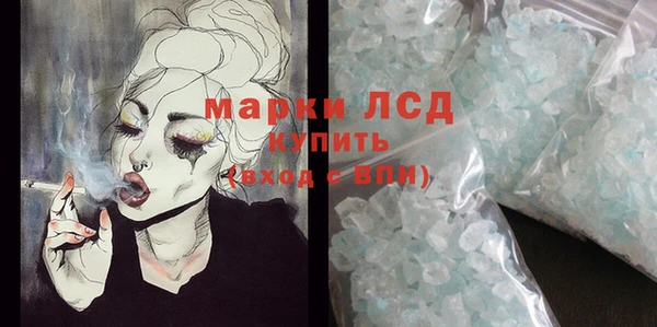 прущие грибы Надым
