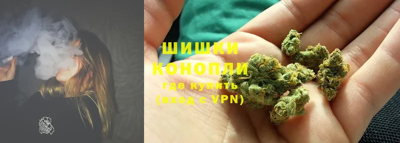 наркота  Ленск  Бошки марихуана Amnesia 